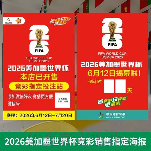 权威解读：世界杯投注策略的深度解析